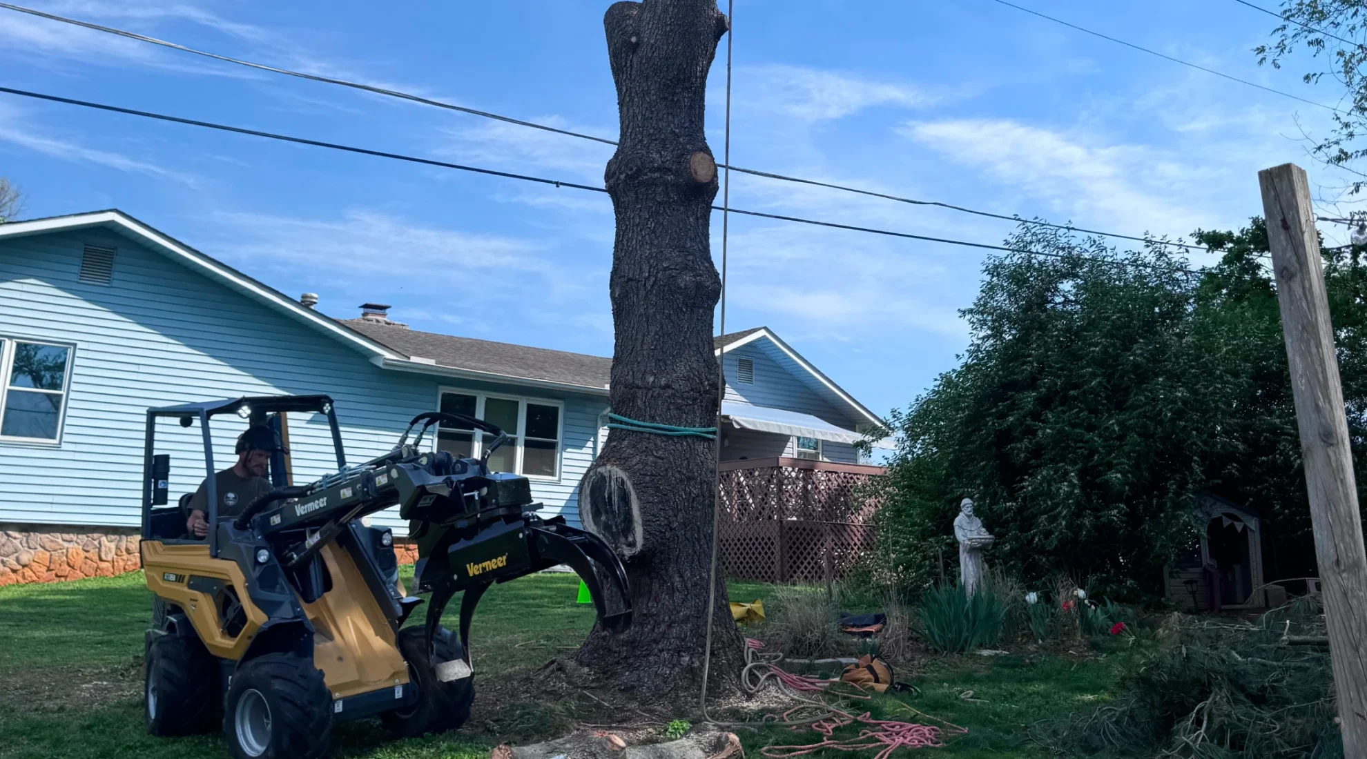 Tree Pruning