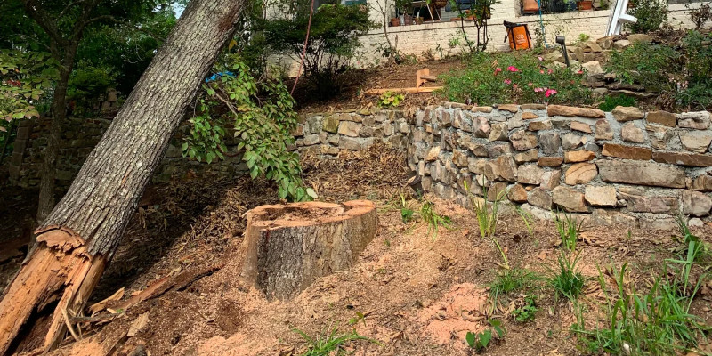 Emergency Tree Services in Maryville, Tennessee