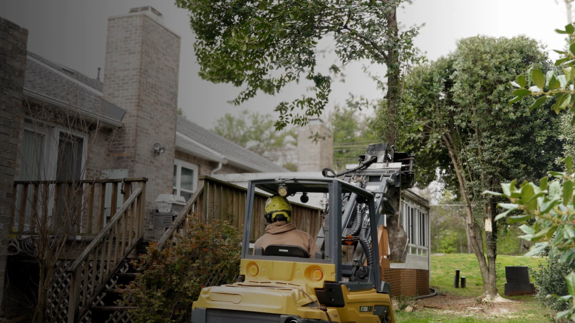 Tree Services